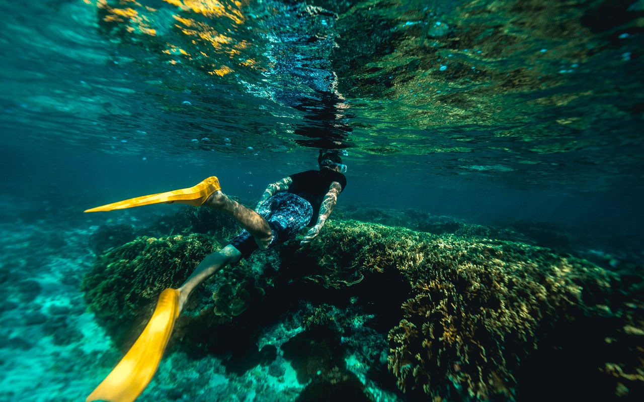 Metro city’s should make road with protection In mind